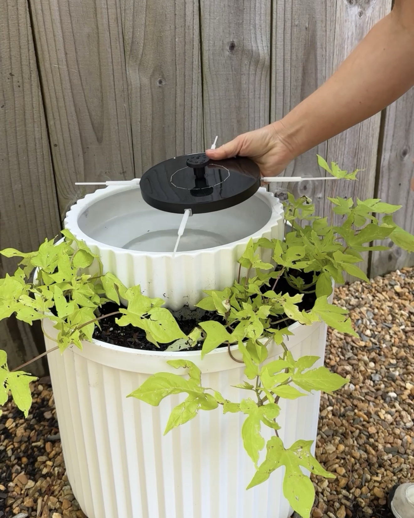 Easy DIY Garden fountain - no electricity needed 

#LTKSeasonal #LTKSaleAlert #LTKHome