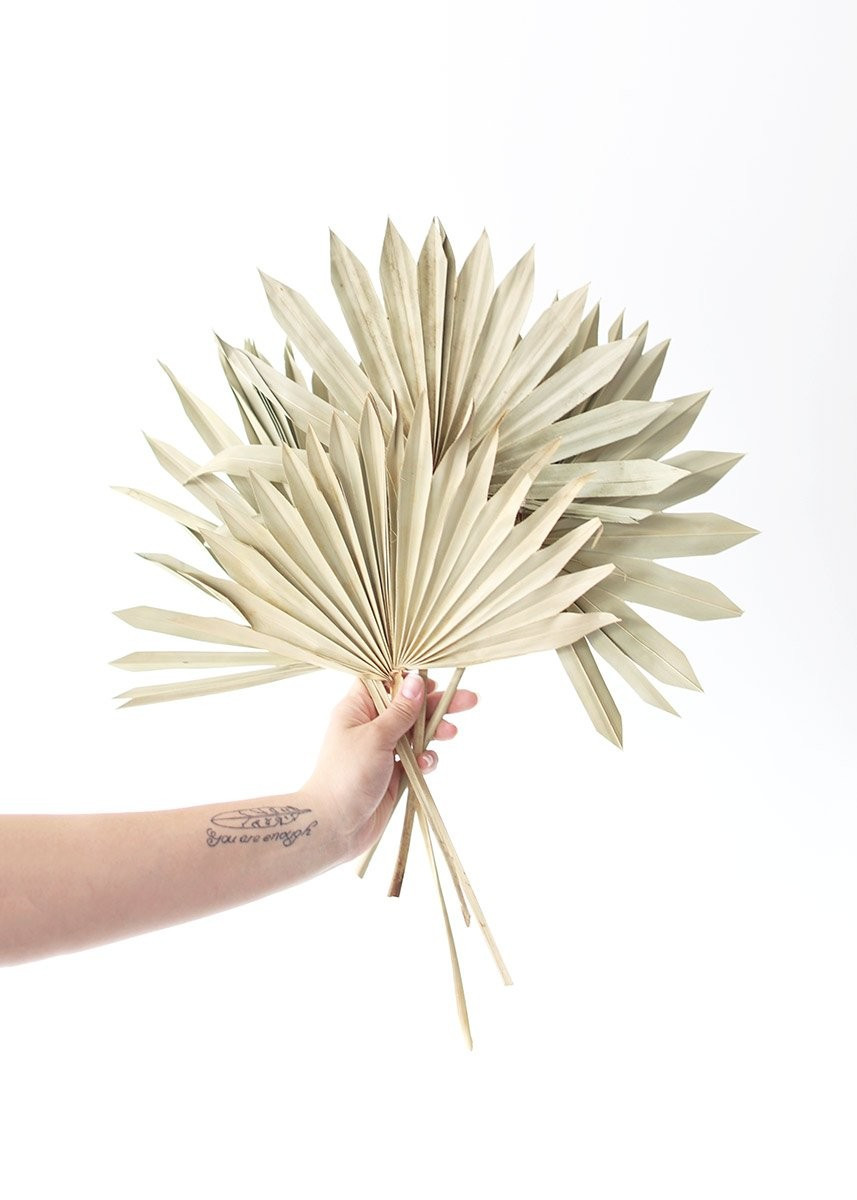 Pack of 5 - Natural Sun Palm Leaves | Afloral (US)
