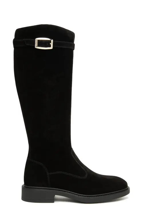 NeroGiardini Buckle Riding Boot in Black at Nordstrom, Size 11Us | Nordstrom