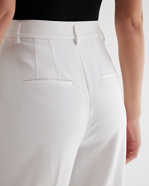 Stylist Super High Waisted Pleated Wide Leg Pant | Express