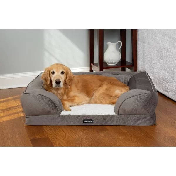 Supreme Comfort Couch Pet Bed Bolster | Wayfair North America