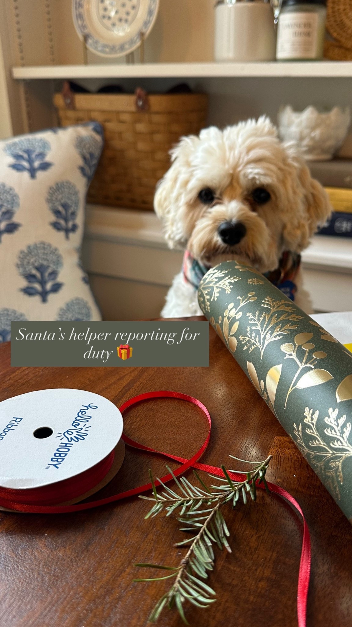 Santa’s helper reporting for duty 🐶🎁

#LTKHome #LTKHoliday #LTKSeasonal