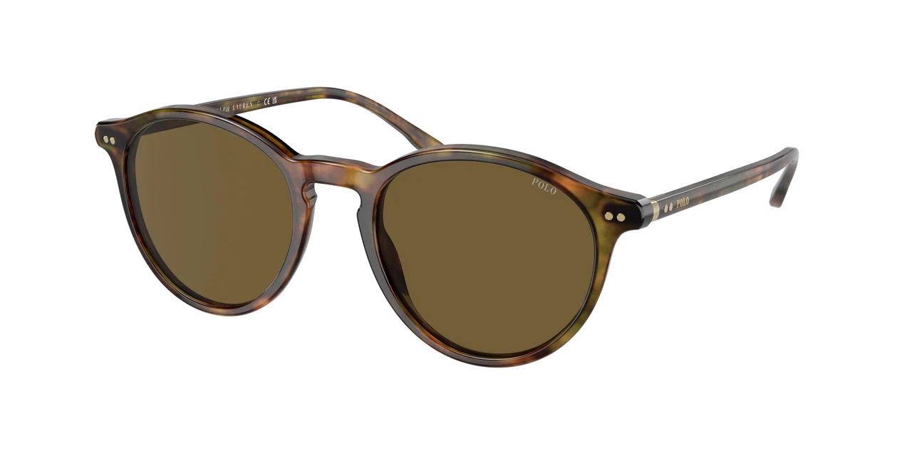 Polo 4193 Sunglasses | Designer Optics