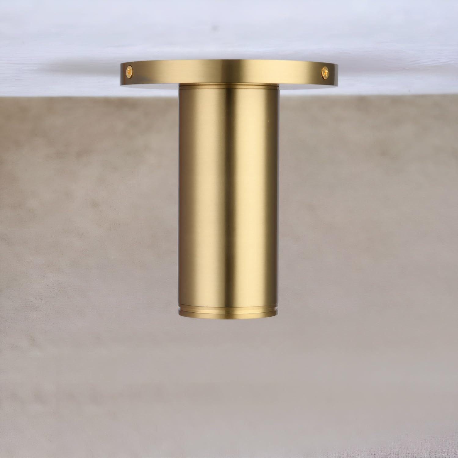 Brass Cylinder Ceiling Light Fixture, Flush Mount LED Dimmable Spot Light, Living Room Hallway Ki... | Amazon (US)