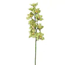 Green & Burgundy Cymbidium Orchid Stem | Michaels Stores