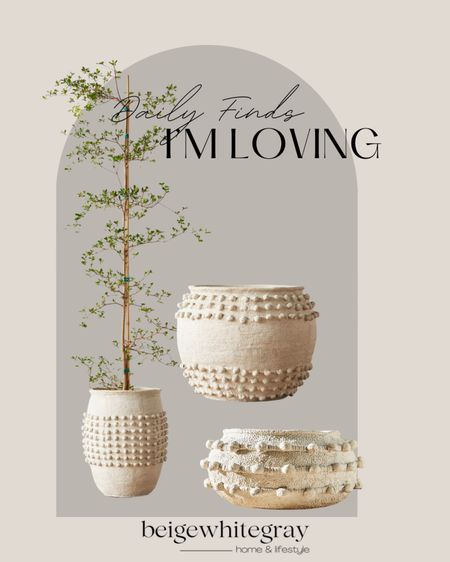 Ok!!! I am obsessed!!! My minka pot is a best seller and check out these new additions!!!!! Yea I’m busting the low planter ❤️

#LTKFind #LTKhome #LTKstyletip
