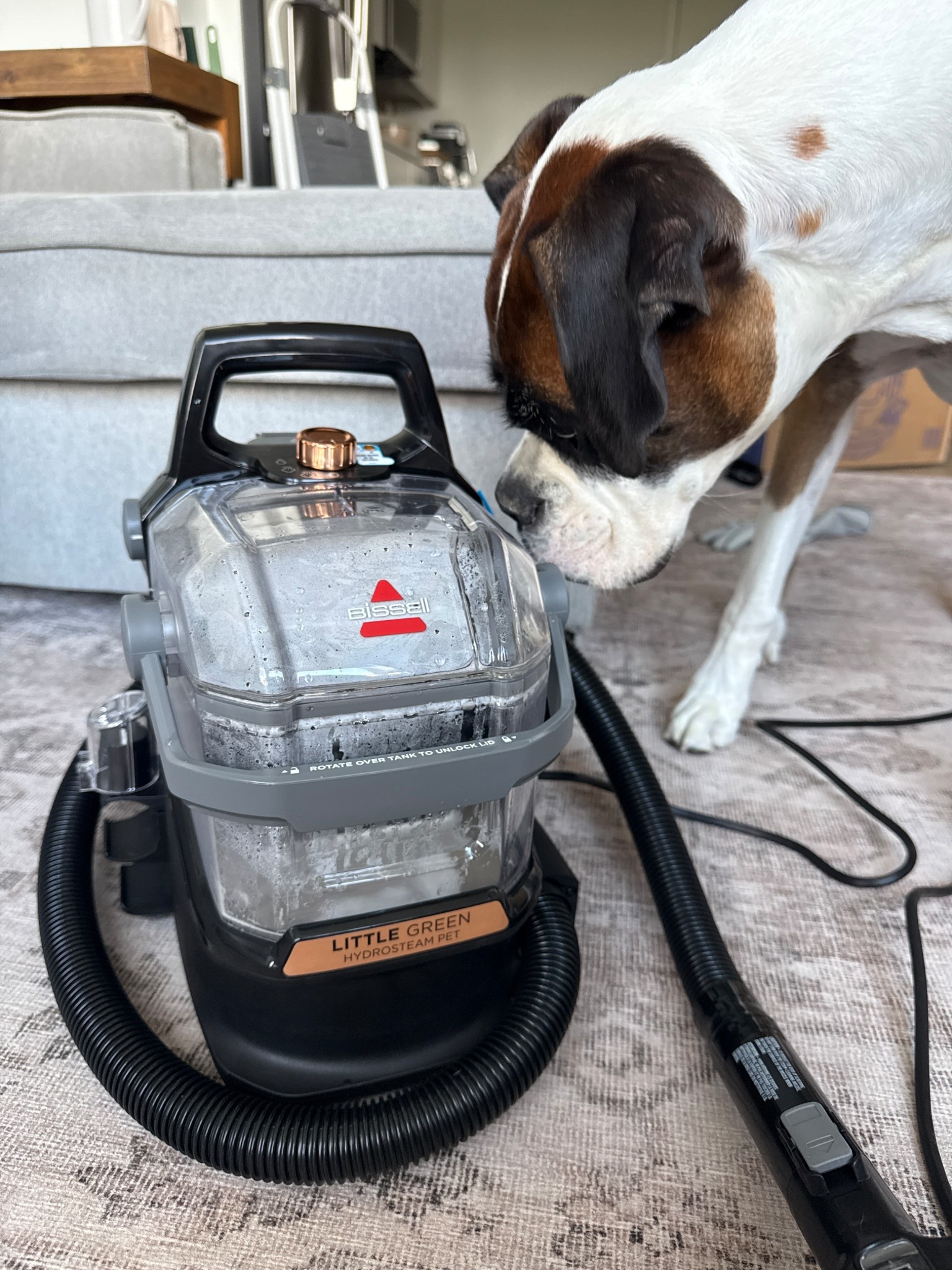 This is LIFECHANGING! I’ve had a Hoover for years (love it but has def abused it so it was on its last leg). The steam functionality was able to cut through this gross boy’s mess. 10/10 recommend.

#LTKHome