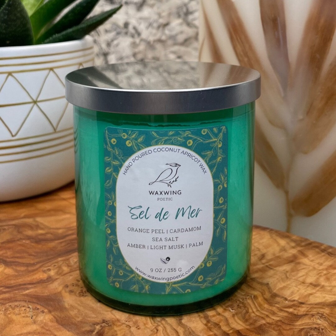 Sel De Mer Coconut Apricot Wax Candle French Sea Salt - Etsy | Etsy (US)