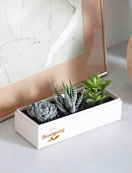 Thanksgiving Jewel Garden | Lula's Garden