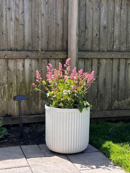 This popular Almaty planter is back in stock! Love the shape and style, great for a front porch or backyard! 

#LTKfindsunder50 #LTKSeasonal #LTKhome