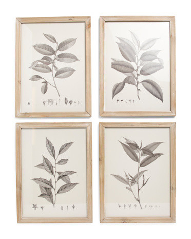 Set Of 4 16x21 Botanical Wall Decor | Home | Marshalls | Marshalls