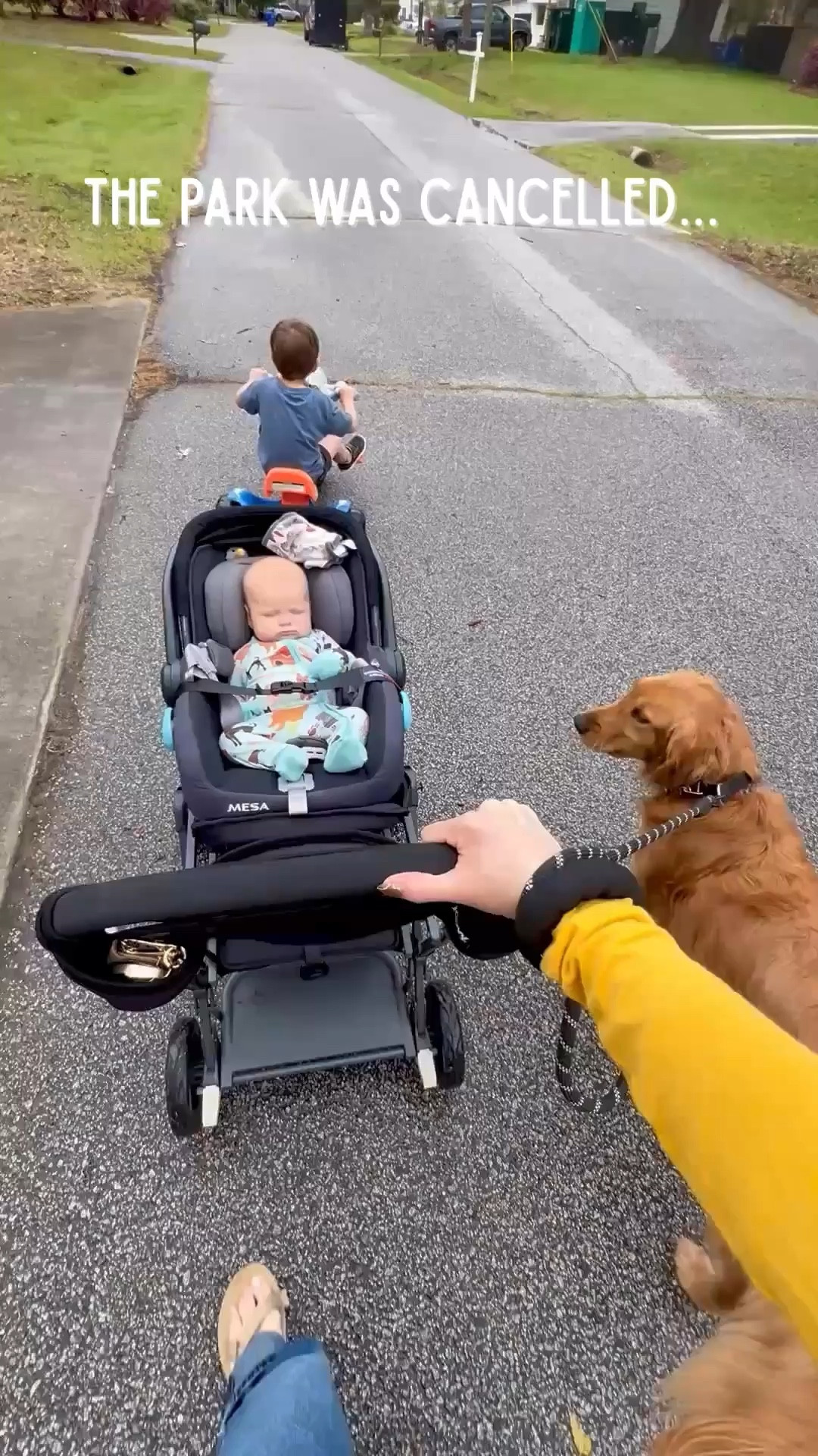 Stormy day = park plans cancelled, but stroller walks still save the day. 

Baby rides comfortably, toddler gets energy out, and even the dog joined us today. 

Linking our stroller + baby essentials!

#LTKdayinmylife #LTKfitnessgoals #LTKmomlife