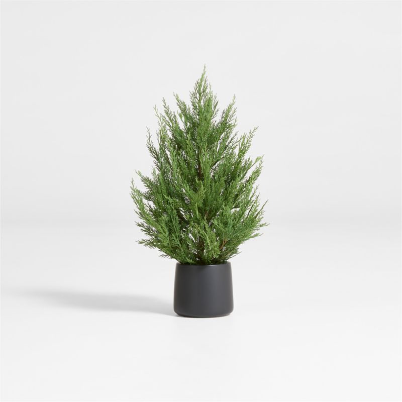 Potted Holiday Cypress Tree 24" | Crate & Barrel | Crate & Barrel