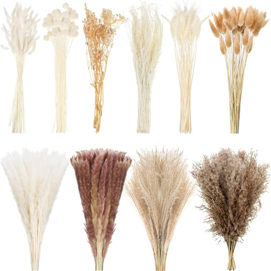 324 Pcs Dried Pampas Grass Decor Bulk 17 Inch White Pampas Reed Grass Fluffy Pampas Grass Tall 10... | Amazon (US)