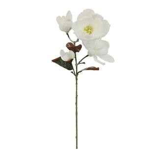 30" Snow White Magnolia Stem by Ashland® | Michaels Stores
