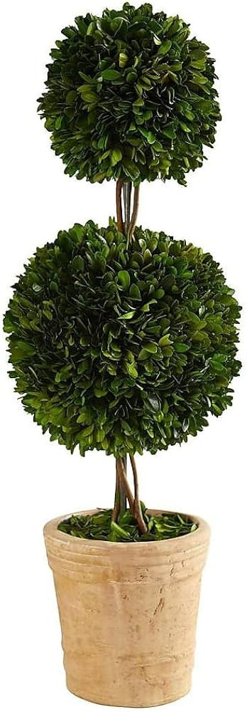 Nearly Natural 2.5ft. Preserved Boxwood Double Ball Topiary Tree in Decorative Planter | Amazon (US)