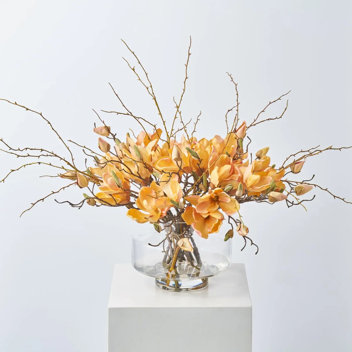 Golden Hour Magnolia Blooms & Branches In Large Modern Saucer Style Vase Everyday Spring Water Il... | Darby Creek Trading