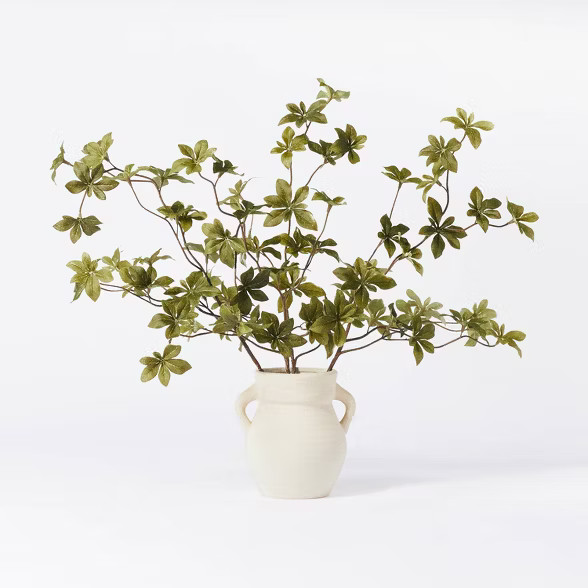 5.5" x 3" Artificial Branch Plant Arrangement in Ceramic Pot - Threshold™ designed with Studio McGee | Target