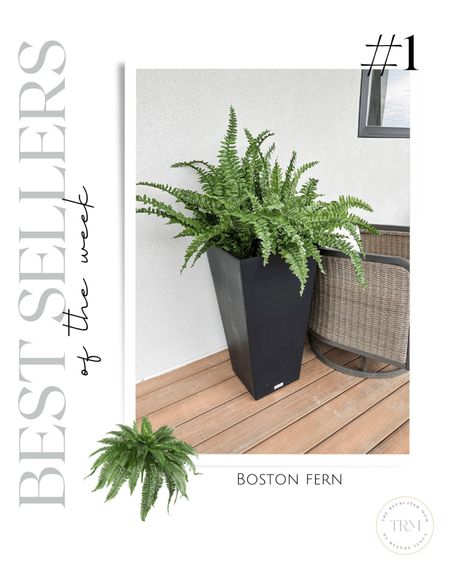 Amazon best seller 


Weekly favorites  top sellers  Amazon  Amazon home  Boston fern  faux shrub  top picks  the recruiter mom  

#LTKfindsunder100 #LTKhome