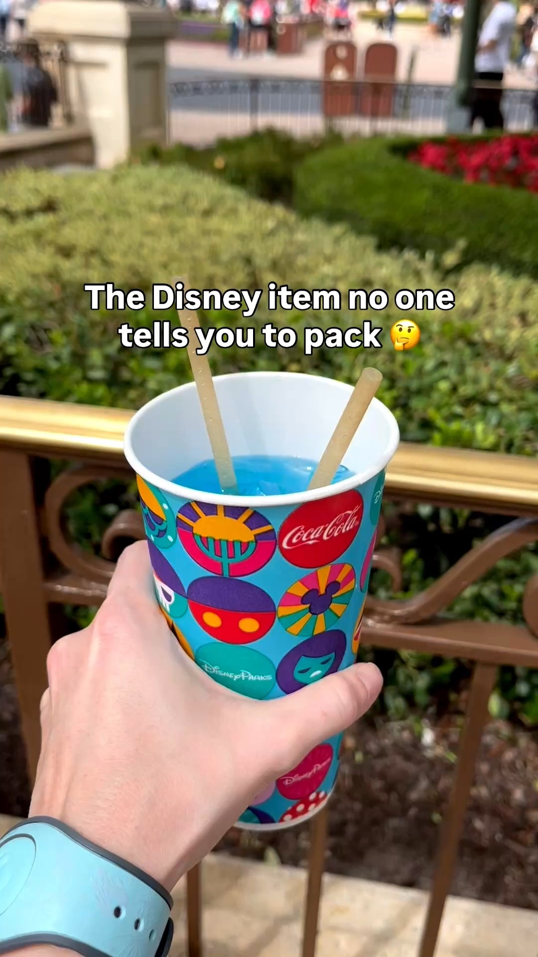 Because no one likes soggy paper straws!!! Bring your own disposable or reusable straws!! 

#LTKmomlife #LTKKids #LTKTravel