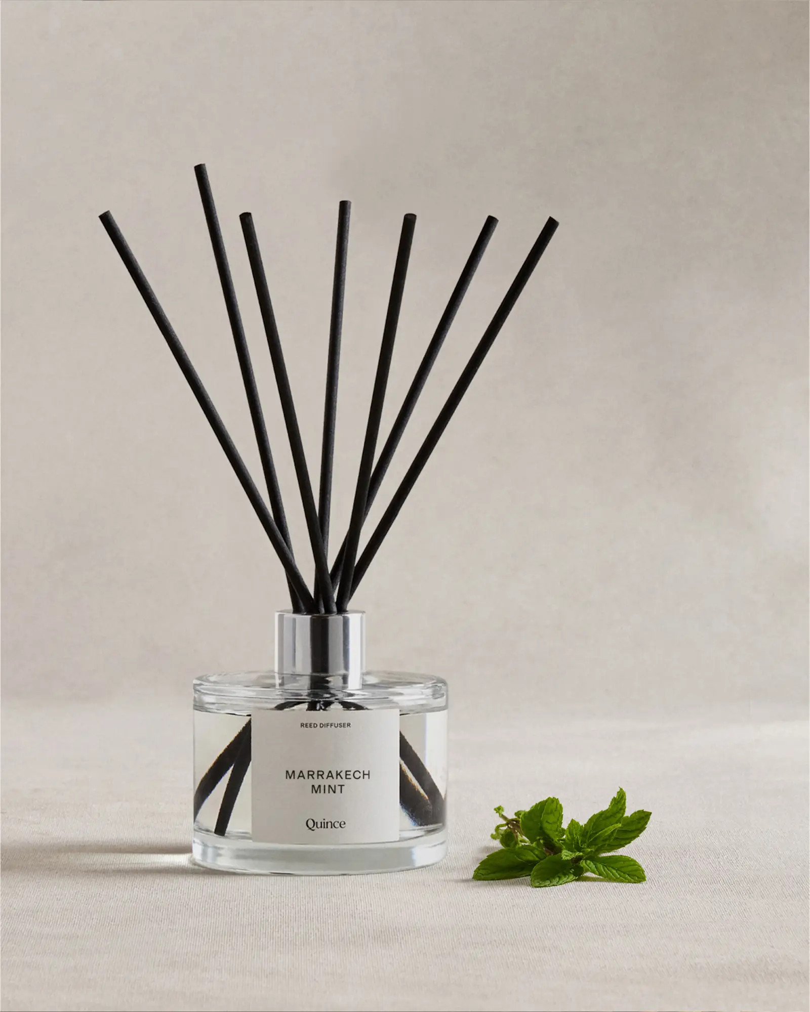 Marrakech Mint Reed Diffuser | Quince