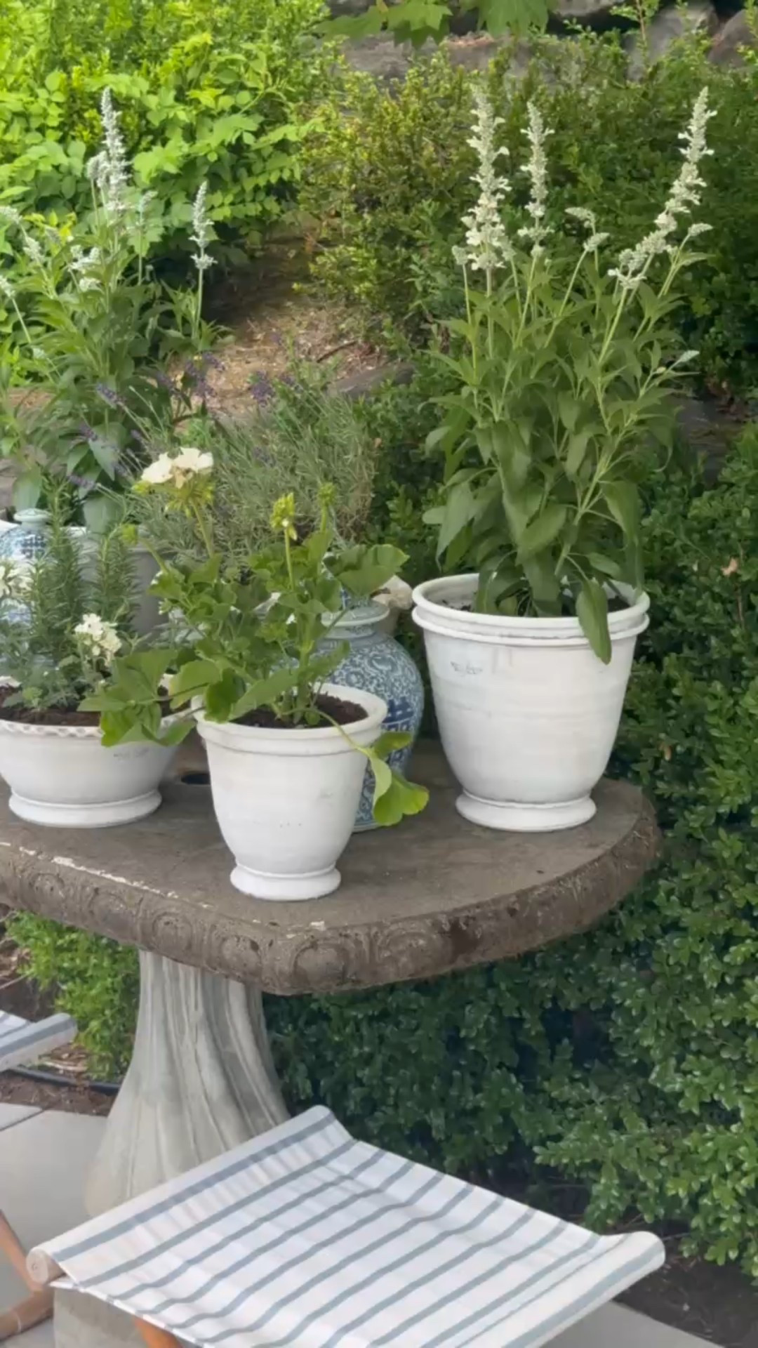 Such a cute outdoor garden moment!! I love this English cottage feel that this assortment of pots gives to the table. 

#LTKHome #LTKSeasonal #LTKSummerEdit