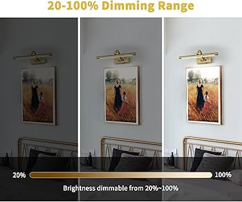 Battery Operated Picture Light with Remote and Timer, Wireless Art Lights for Paintings Brass Rec... | Amazon (US)