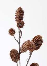 Plastic Pine Cone Branch Winter Decor - 28.5" Tall | Afloral (US)