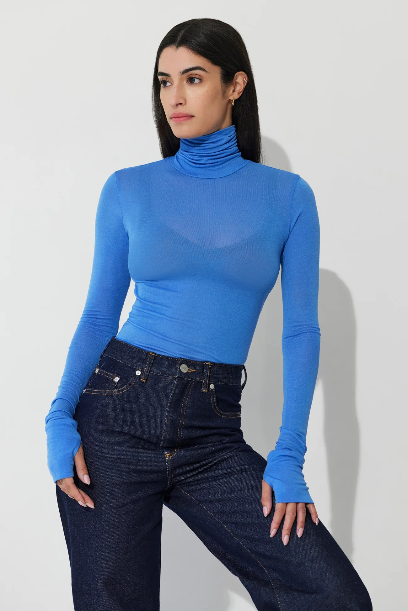 Eloise Sheer Turtleneck | Marcella
