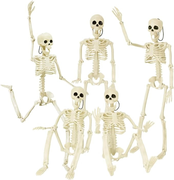 DINESIL 5 Packs Posable Halloween Skeleton, Full Body Halloween Skeleton with Movable Joints, 16"... | Amazon (US)