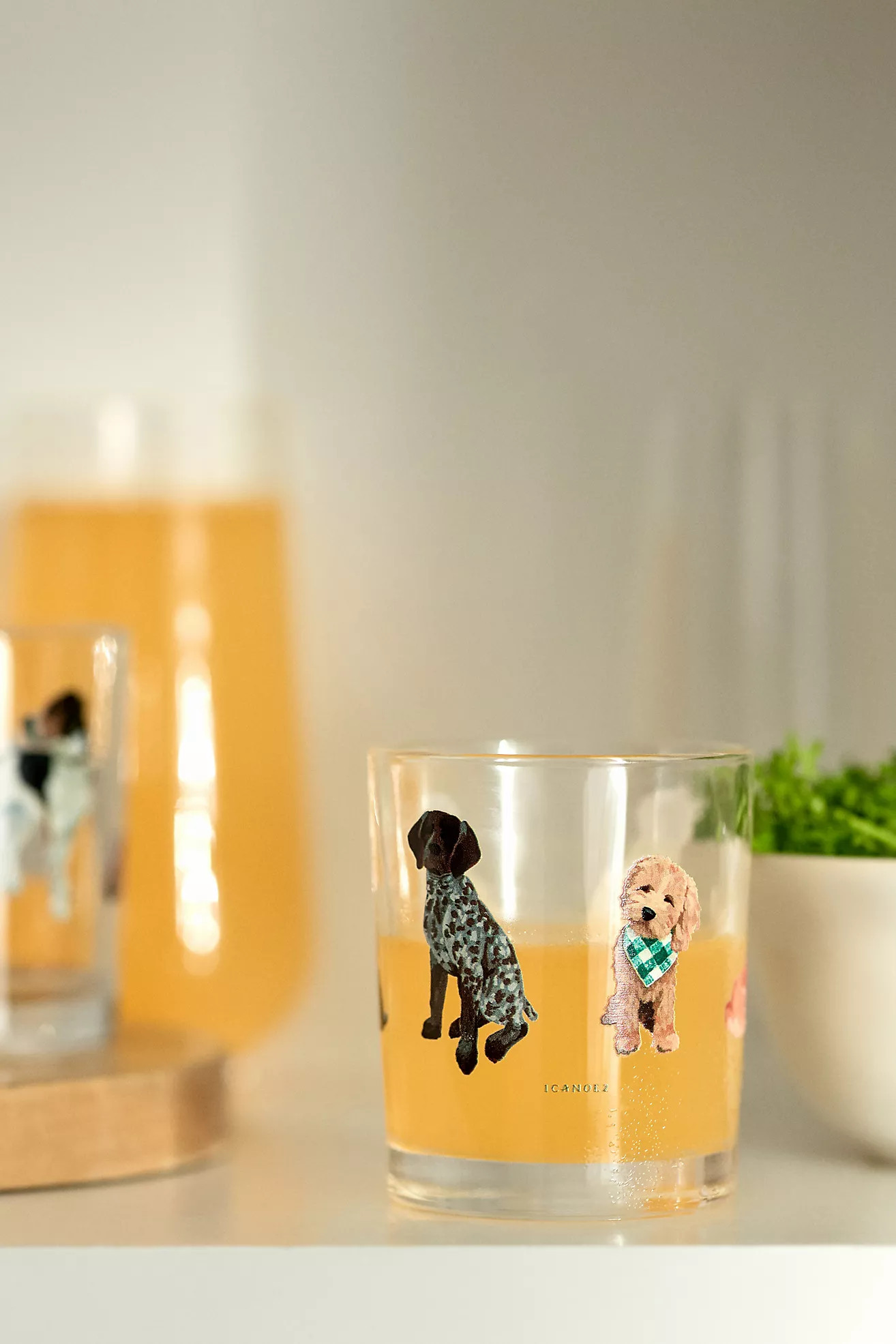 1canoe2 Dogs Juice Glasses, Set of 4 | Anthropologie (US)