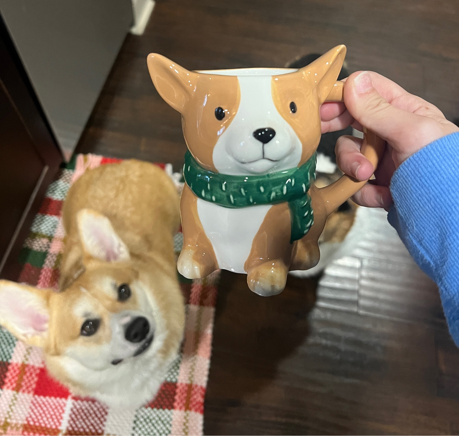 The cutest corgi mug from Target! It looks just like Kyler! #target #corgis 

#LTKSeasonal #LTKHoliday #LTKhome