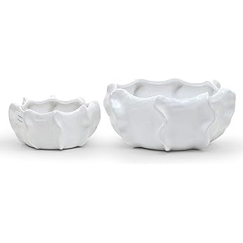 WGV Ceramic Bowl Vase, 7.5"x3.5"H, 10.25"x4.75"H, Corral Pot, White Large Mantel Planter Centerpi... | Amazon (US)