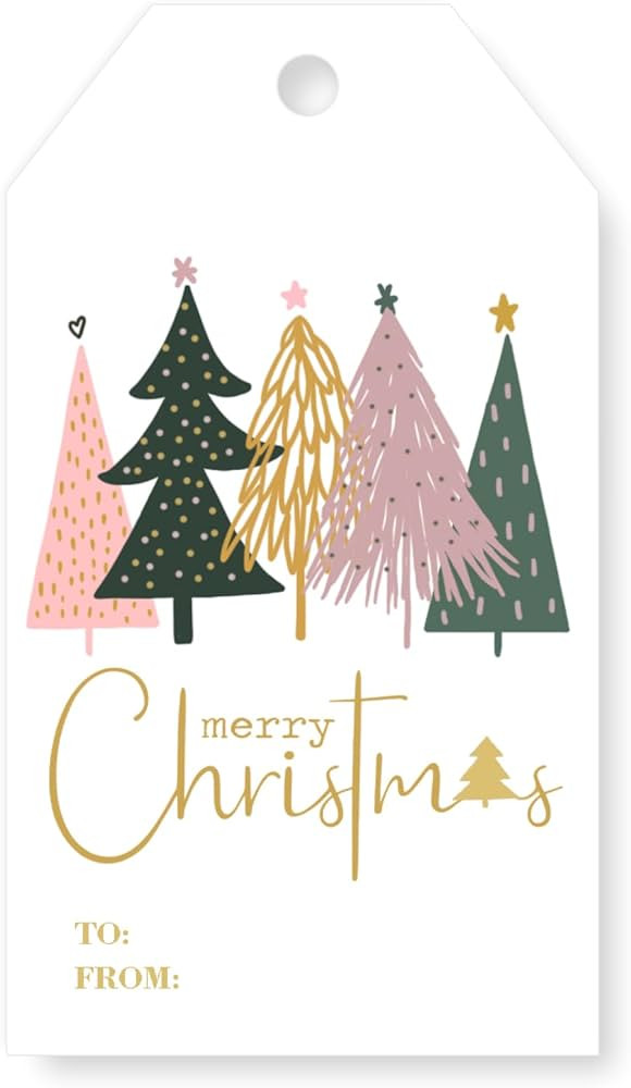 AnyDesign 100Pcs Boho Merry Christmas Paper Gift Tags with 100Pcs Hemp Rope Christmas Tree Hangin... | Amazon (US)