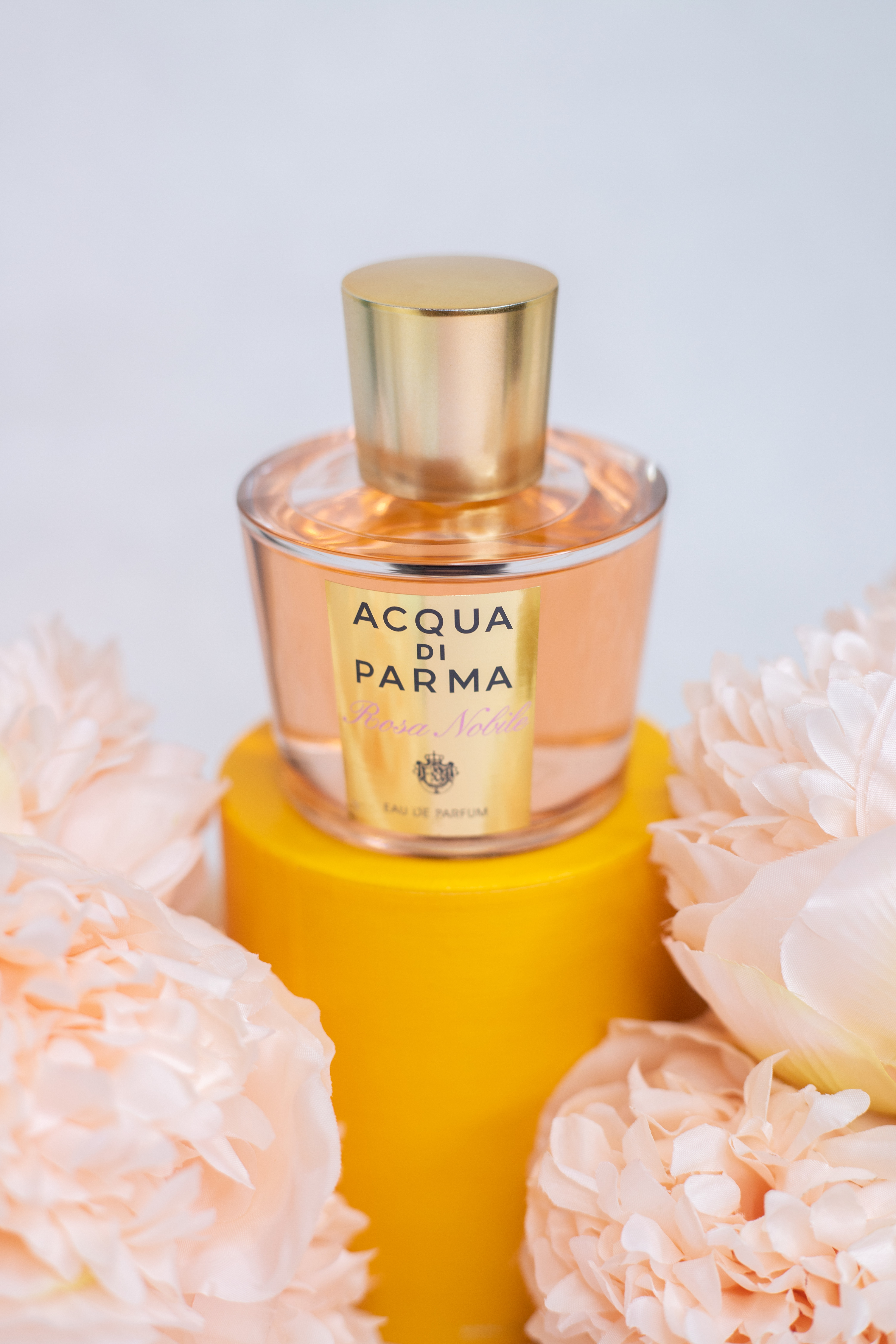  

 One of my favorite fragrances. It is perfect for a date night or as a gift to someone special in your life who loves rose floral scents. #fragrance #giftguife 

#LTKItBag