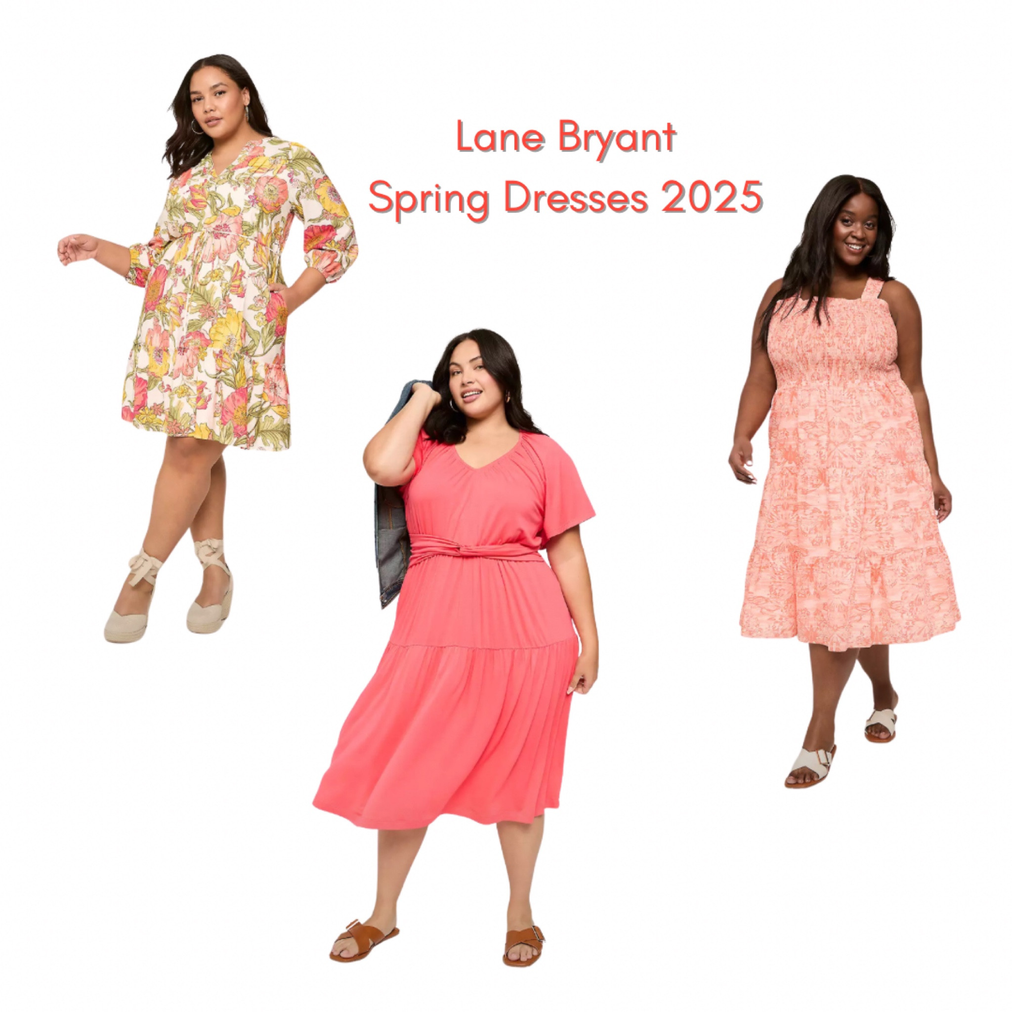 Lane Bryant Spring Dresses 