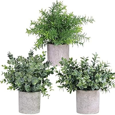 Winlyn Mini Potted Plants Artificial Eucalyptus Boxwood Rosemary Greenery in Pots Faux Potted Her... | Amazon (US)