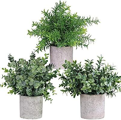 Winlyn Mini Potted Plants Artificial Eucalyptus Boxwood Rosemary Greenery in Pots Faux Potted Her... | Amazon (US)
