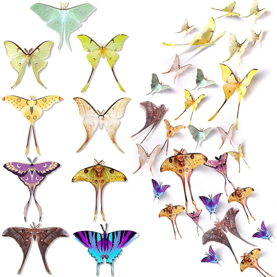 Rtteri 63 Pcs 3D Butterfly Moth Wall Decor Butterfly Wall Stickers Butterflies Decals Removable D... | Amazon (US)