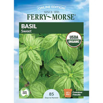 Ferry-Morse Organic Basil Seeds 300 Milligram(s) | Lowe's