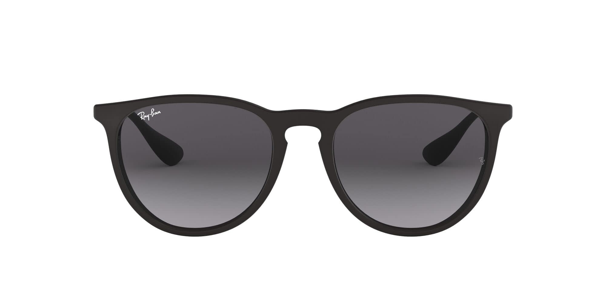 Ray-Ban Women's Rb4171 Erika Round Sunglasses | Amazon (US)