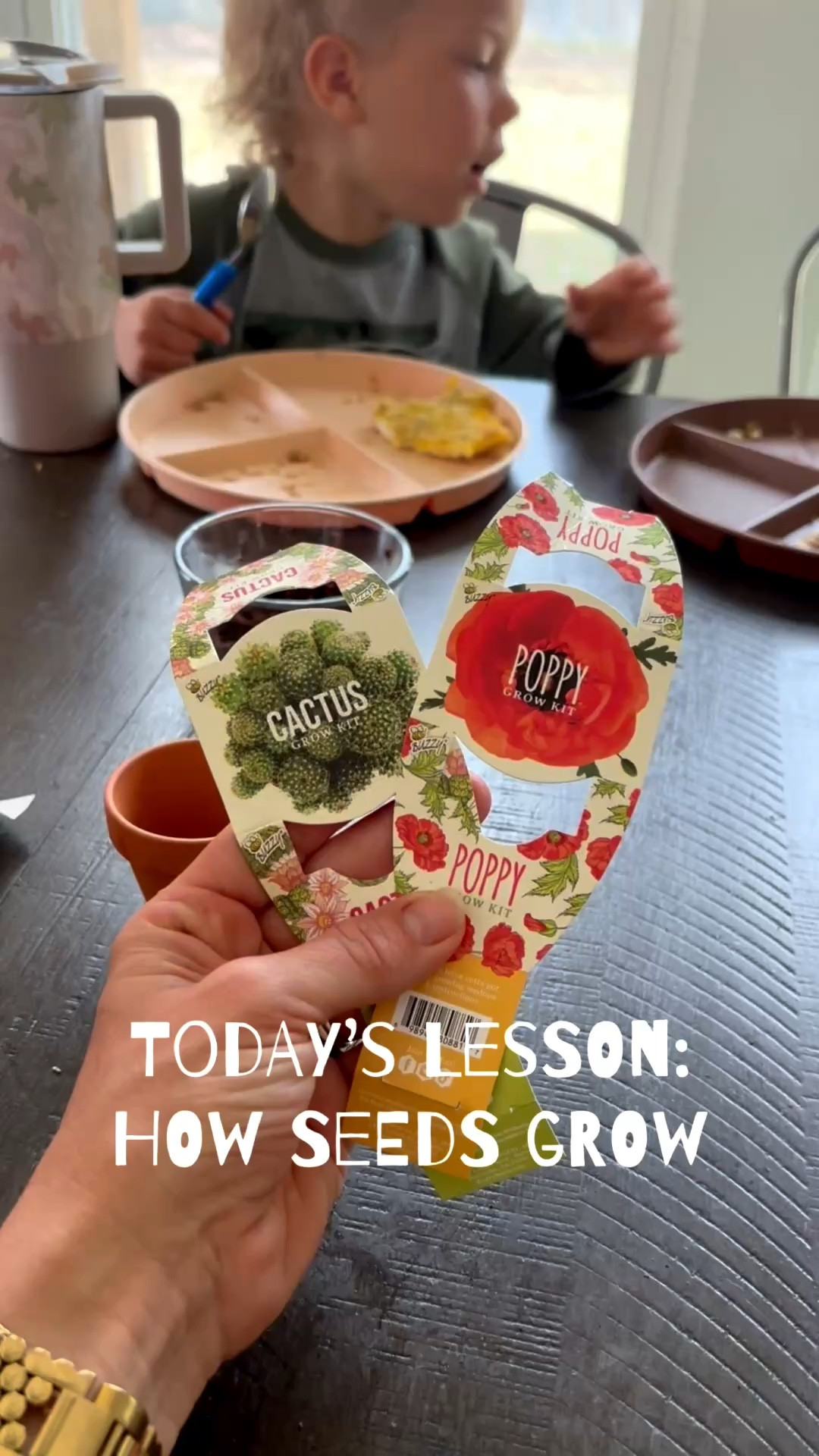 Today’s homeschool science lesson was all about how seeds grow 🌱

We learned that every tiny seed needs just three simple things to thrive:
✨ Soil
💧 Water
☀️ Sunshine

It’s amazing how something so small can turn into something so beautiful with the right foundation and a little daily care. The kids loved getting their hands dirty and watching the process begin right in front of them.

We used the CUTEST little grow kits that come with everything you need — soil, seeds, and simple instructions — which made it so easy and fun for our lesson (and perfect for little hands 🤍).

If you want to try this at home with your littles, I’ll put the link in the comments! 🌿✨