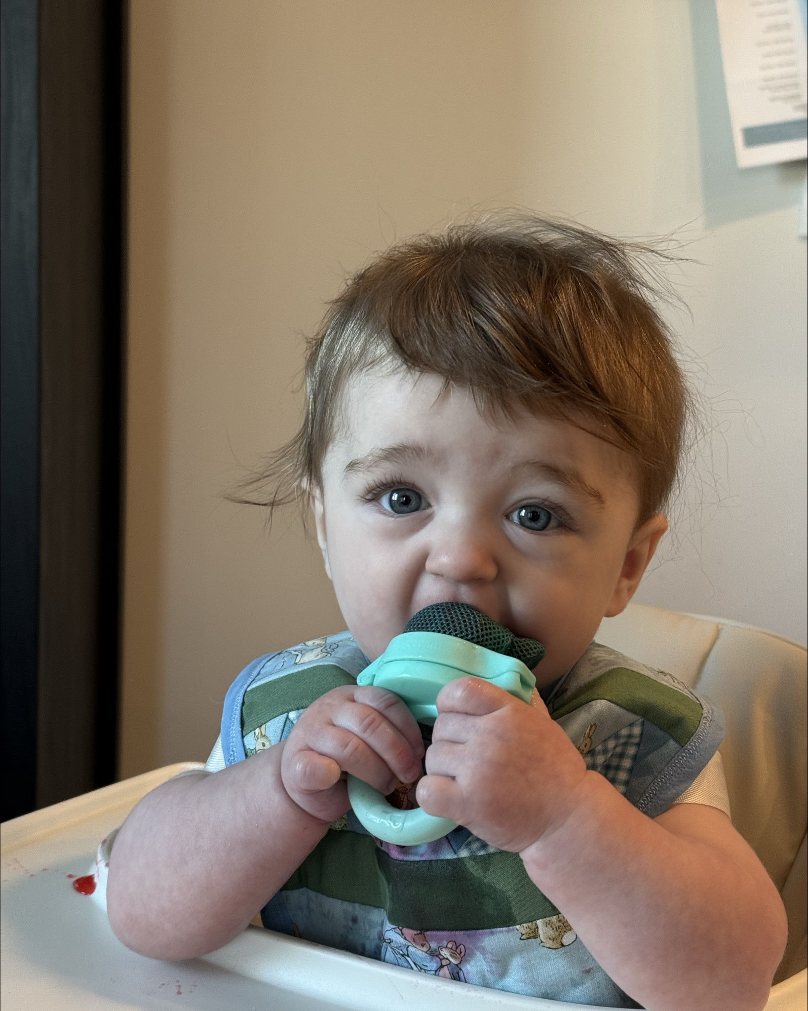 Our 6 month old has started trying new foods and we got him this feeder for fruits and veggies. It’s easy for him to hold. He picked it up right away and loved it. Today he tried raspberries with it. It cleaned easily! 

#babyfinds #babyteether #BLW

#LTKFindsUnder50 #LTKBaby