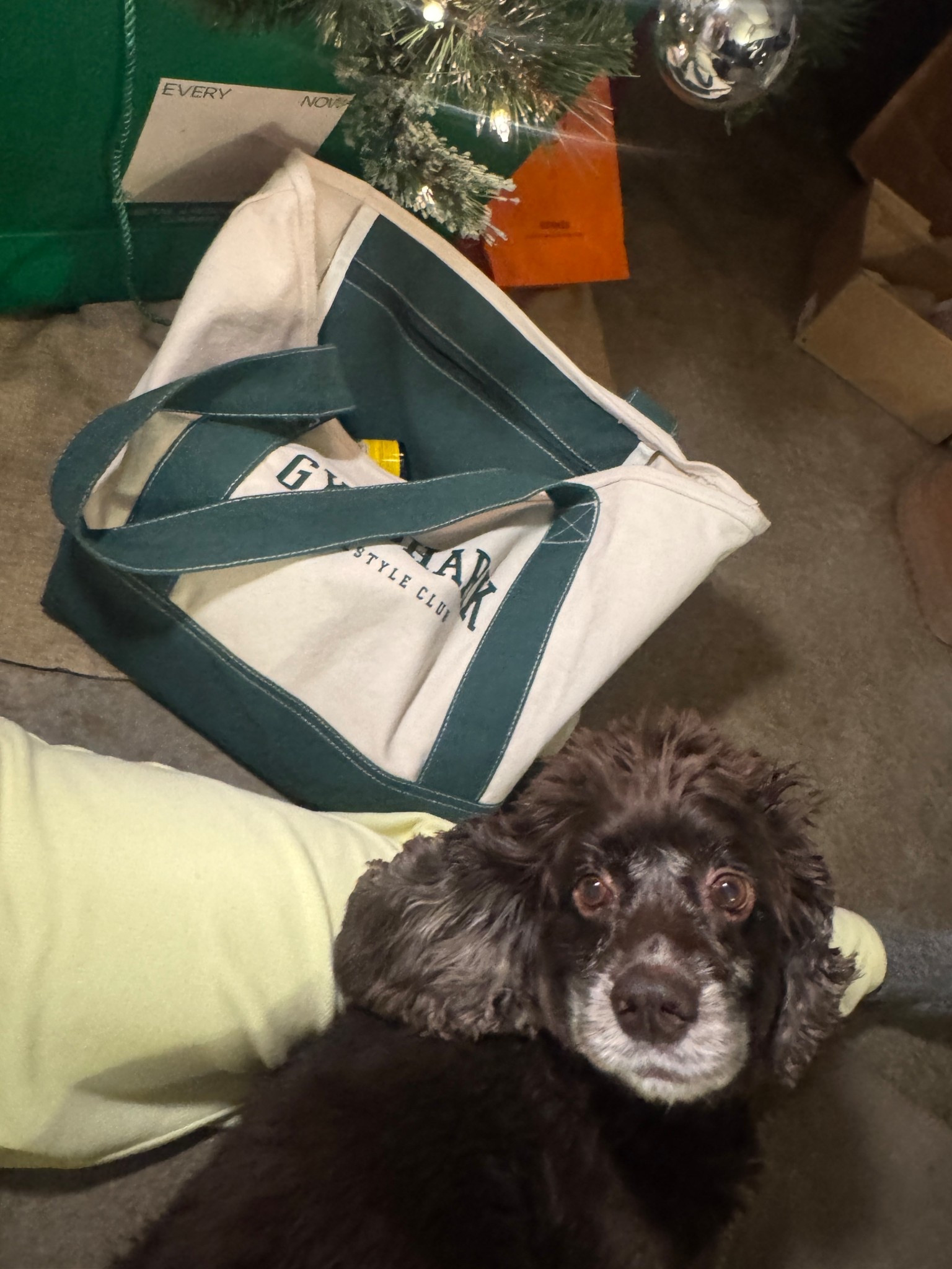 These are the most comfortable wide leg lounge pants perfect for errands prepping for the holidays 
#gymshark 

#LTKHoliday #LTKGiftGuide #LTKSaleAlert