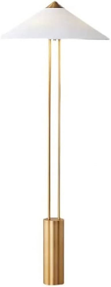 Floor Lamp, Nordic Minimalist Fabric Hat Lamp Led Floor Lamp Antique Brass Base Complete with Whi... | Amazon (US)