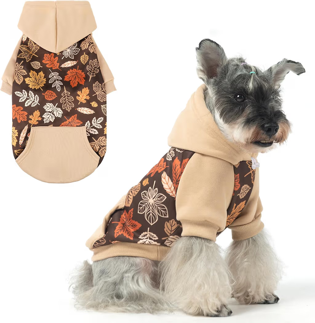 KOOLTAIL Fall Dog Hoodie with Autumn Maple Leaf Pattern for Small Medium Large Dogs -Thanksgiving... | Amazon (US)