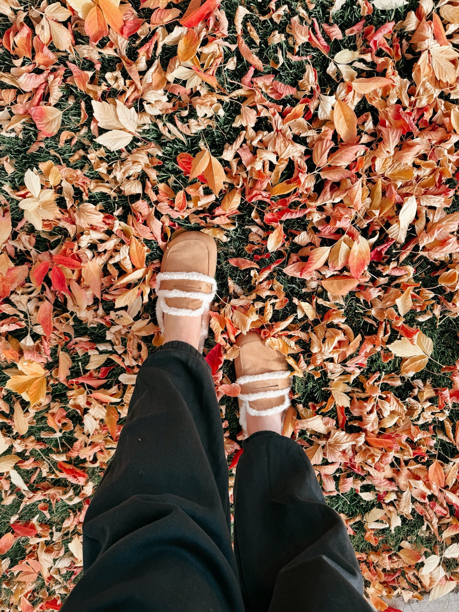 Comfy meets chic 🤎 these faux shearling loafers are giving quiet luxury for under $20 ✨ faux shearling loafers | under $20 find | cozy fall shoes | walmart fashion | neutral loafers | peanut butter color | budget friendly style | fall outfit essentials | comfy slip on loafers | soft sherpa slides | casual fall shoes | neutral tones | affordable fashion | fall neutrals | cozy walmart find

#LTKSaleAlert #LTKFindsUnder50 #LTKShoeCrush