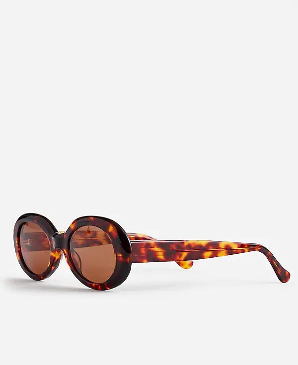 Valoma Chunky Oval Sunglasses | Madewell | Madewell
