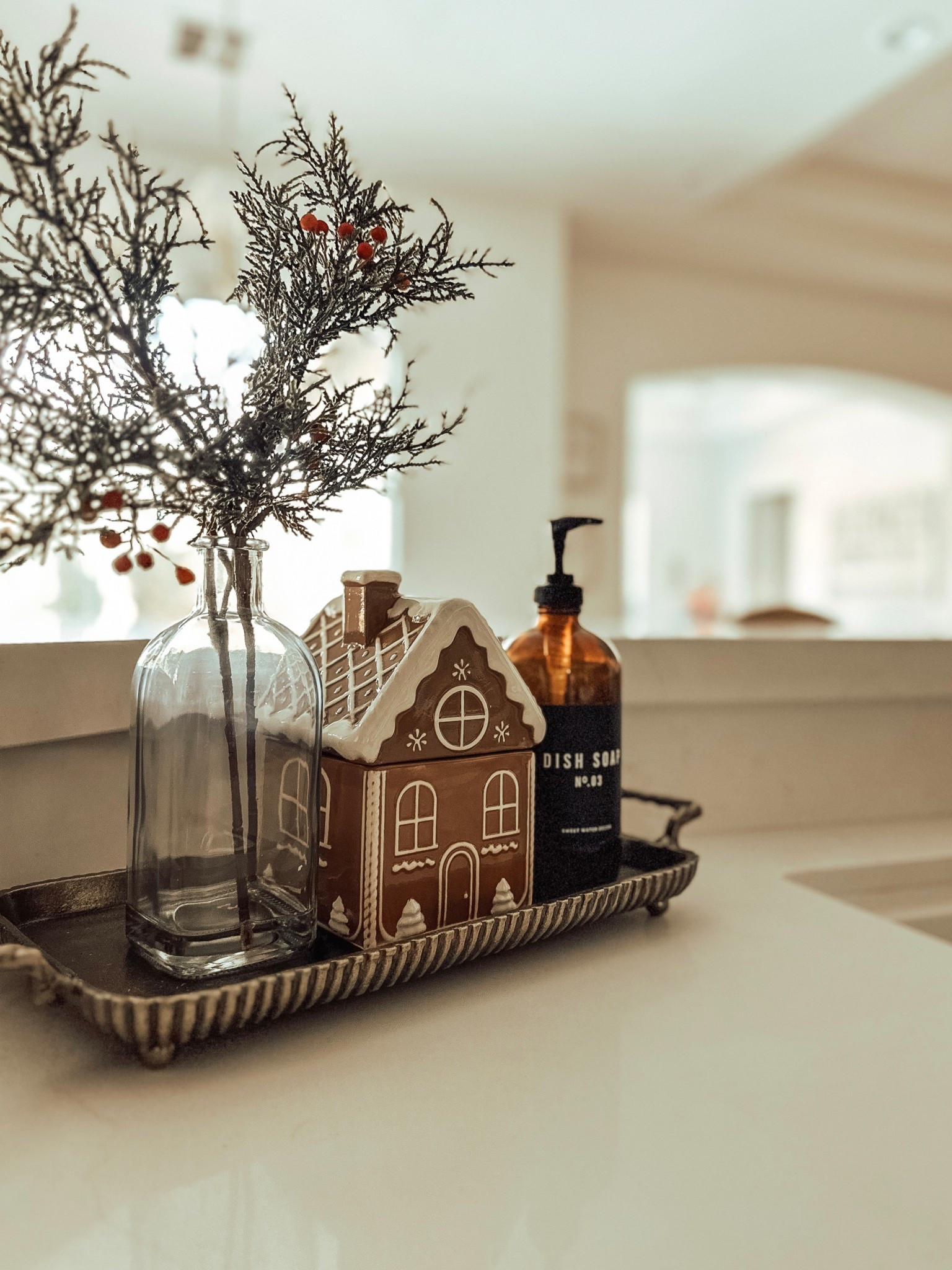 Dishwashing tablet storage 🤎

#LTKHoliday #LTKSeasonal #LTKHome