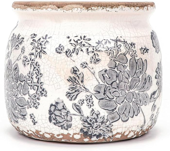 Ceramic Pot for Planter, Gray Vintage Flower Pot with Drainage Holes, 6.29 inch Ice Crack Glazed ... | Amazon (US)